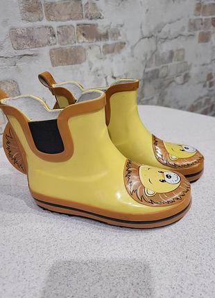 Резиновые сапожки