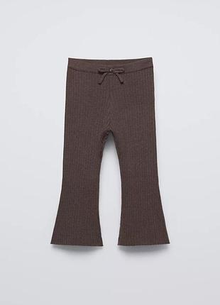 Лосіни повненьким не підійдуть