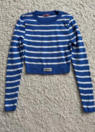 Топ полосатий