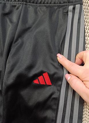 Штаны спортивные adidas3 фото
