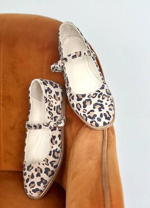 Балетки женские olli t-5-0556 леопард (весна-осень, кожа натуральная) (5434)