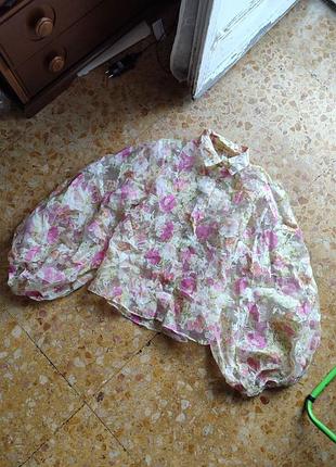 Шикарная прозрачная блуза с объёмными рукавами блуза с органзы