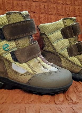 Зимние термо-ботинки ecco.  р.24