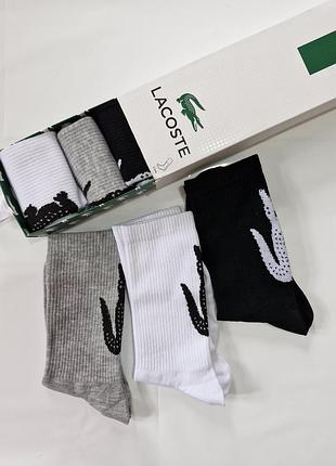 Парфумовані шкарпетки бренду lacoste, носки парфумированные lacoste, бренд lacoste шкарпетки