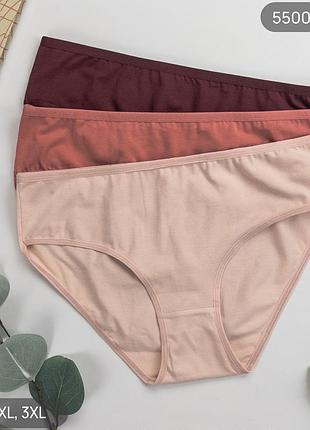 Хлопковые трусики dominant туречня 3 шт в упаковке. набор женских трусиков
