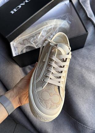 Кеди arietti 37 розмір