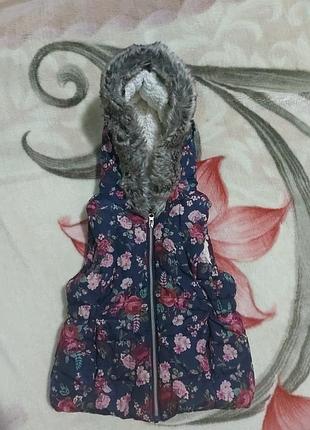 Желетка