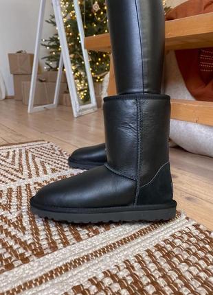 Ugg зимние женские сапоги угг высокие в черном цвете