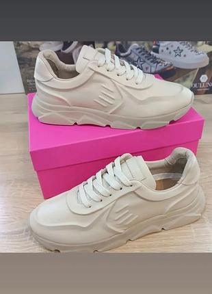 Кросівки жіночі alpino