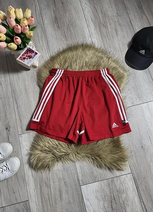 Мужские шорты adidas