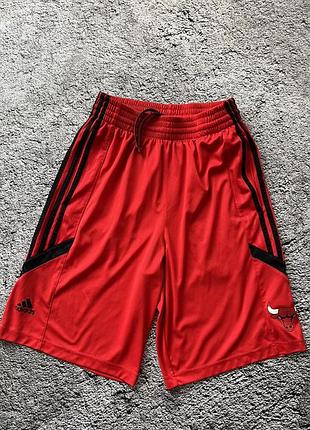 Chicago Kid nba adidas vintage шорты винтажные нереально