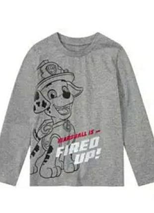 Лонгслив nickelodeon paw patrol 110-116