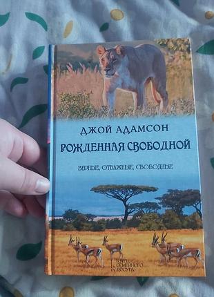 Книга💙 нова
