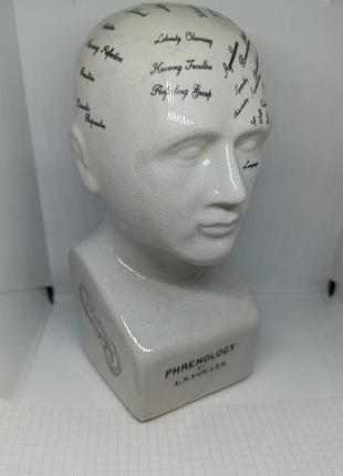 Голова человека с нанесенными надписями. наука френология. медицина.