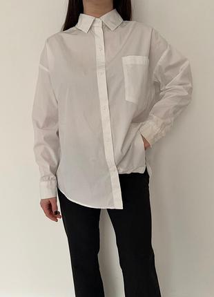 Бавовняна сорочка chicoree