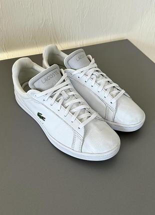 Шикарные кеды lacoste, кожаные кеды, белые кеды, lacoste, белое кед натуральная кожа