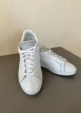 Шикарные кеды lacoste, кожаные кеды, белые кеды, lacoste, белое кед натуральная кожа3 фото