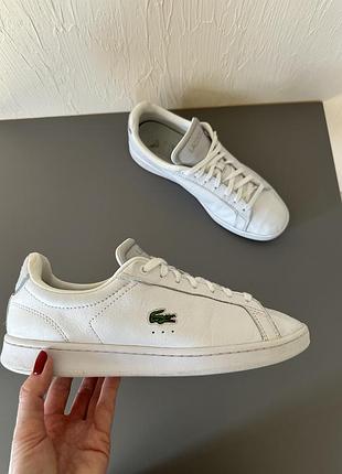 Шикарные кеды lacoste, кожаные кеды, белые кеды, lacoste, белое кед натуральная кожа4 фото