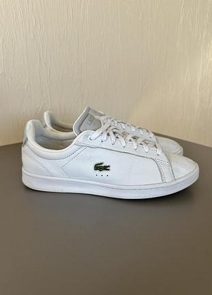 Шикарные кеды lacoste, кожаные кеды, белые кеды, lacoste, белое кед натуральная кожа7 фото