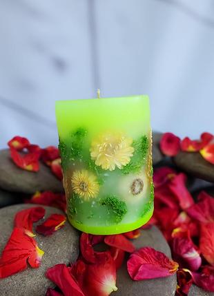 Ботаническая свеча