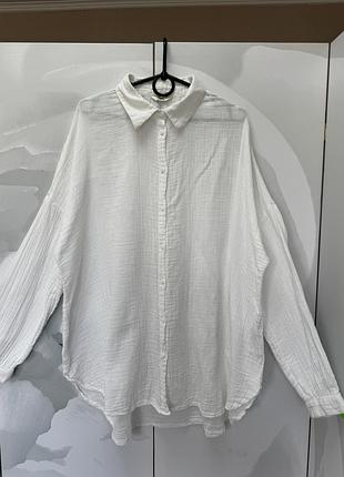 📌 нова бавовняна рубашка, сорочка only, нова