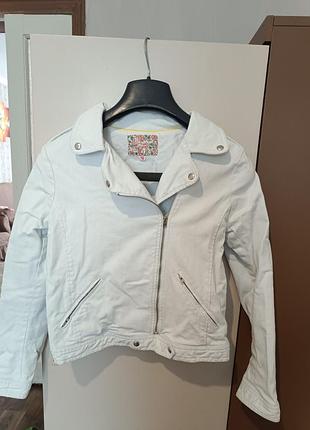 Джинсовка косуха