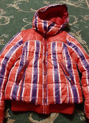 Only яркая зимняя курочка