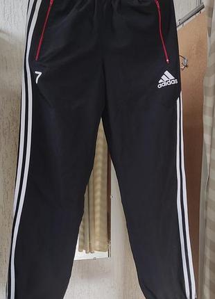 Спортивні штани adidas