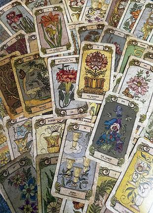 Карты таро окультная ботаника/botanica oculta tarot цветы и травяная магия