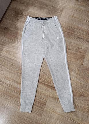 Спортивные штаны stlt adidas