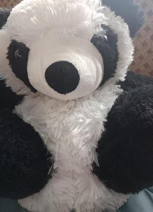 Надзвичайні капці