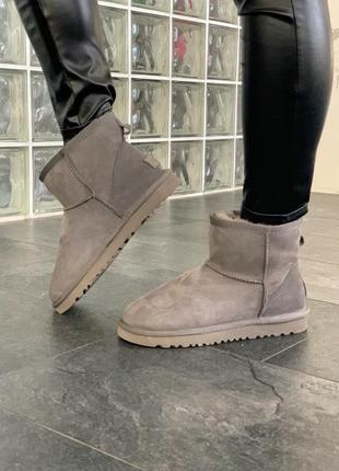 Ugg bailey mini жіночі теплі зимові чоботи в сірому кольорі1 фото