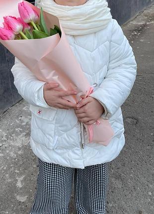 Курточка