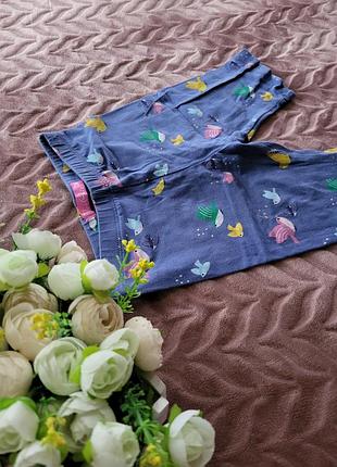 Велосипедки mor chic різнокольорові пташки 5