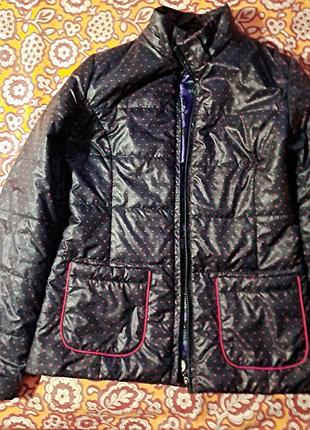 Весняна курточка темно синя в червону цяточку м 44