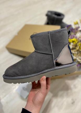 Ugg mini grey metallic🆕 шикарні жіночі уггі 🆕 купити накладений платіж