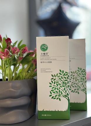 Xiaomoxuan 4