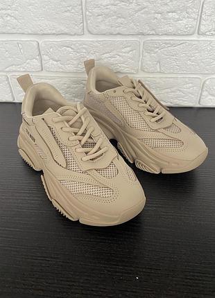 Кроссовки steve madden