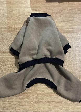 Одяг для собак