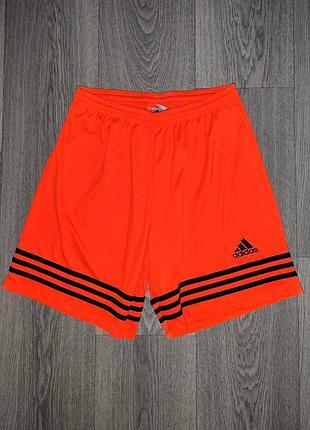 Шорти adidas