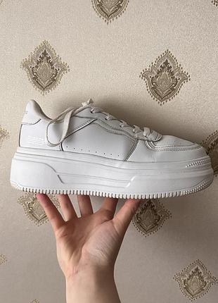 Кросівки жіночі