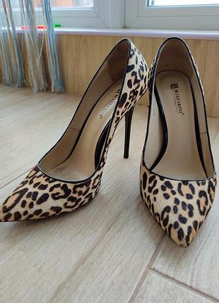 Туфлі жіночі blizzarini 37