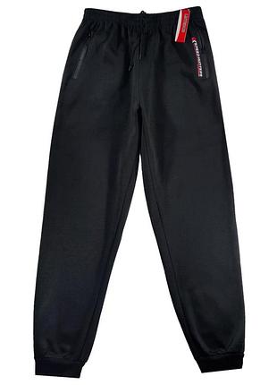 Штани спортивні чоловічі під манжет на легкому утеплювачі 46,48,50,52,54