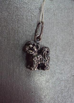 Подвеска кулон собака щенок собачка пудель серебро 925 проба вес 4,84 г