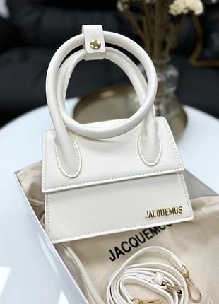 Сумка jacquemus premium