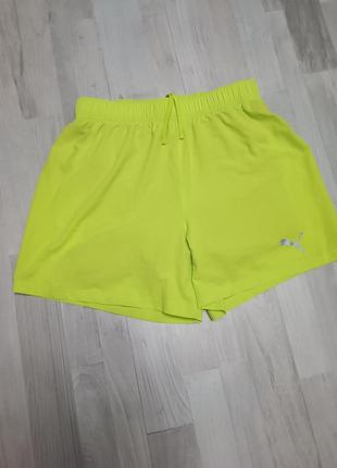 Мужские шорты puma