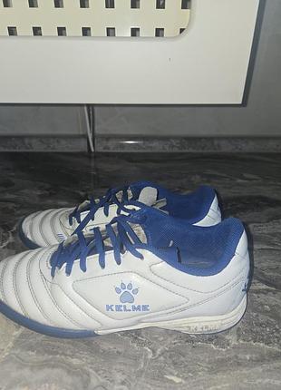 Сороконожки