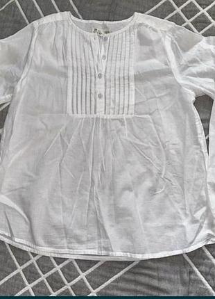 Туніка. блузка