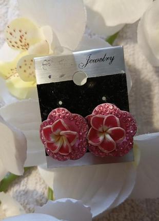 Сережки, кульчики