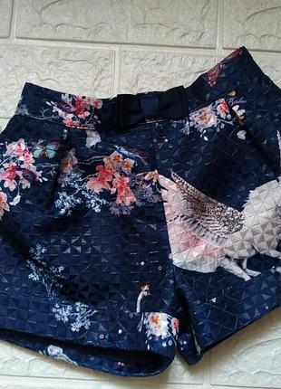 Милые шорты на девочку 2-3 лет 98 см